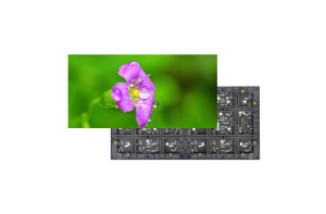 室內常規模組 P2.5